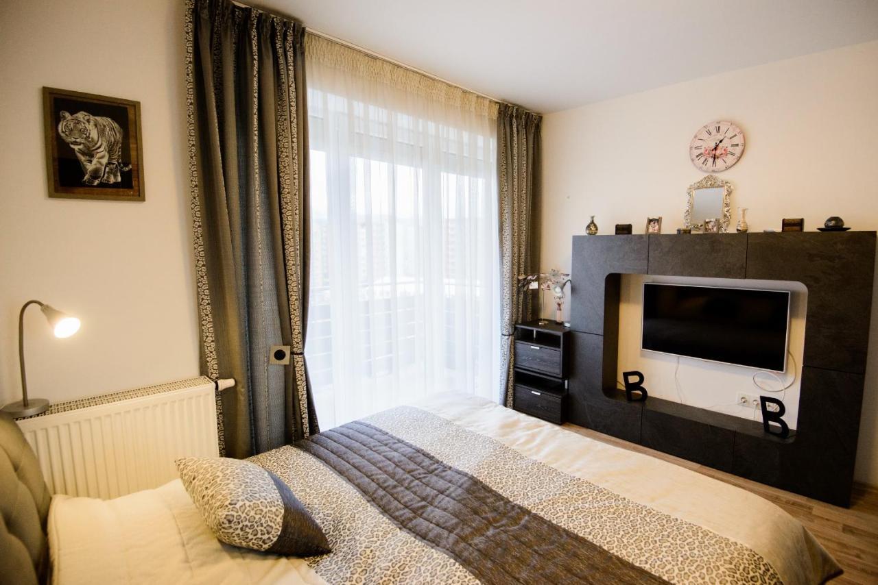 Apartment Beatrice Brasov